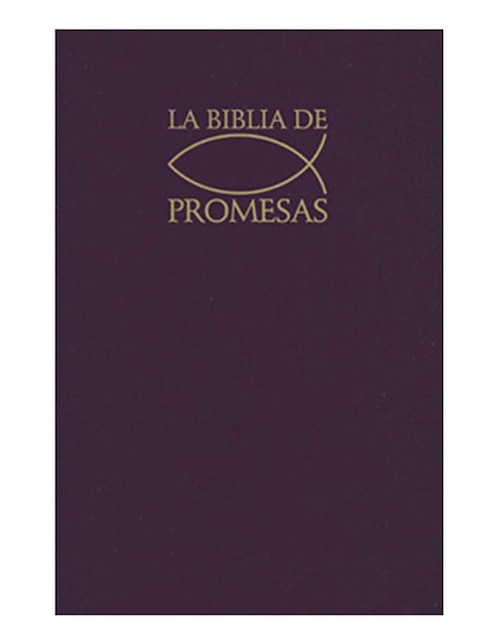 Libro La Santa Biblia Edición de Promesas Tono Gris Libro La Santa Biblia Edición de Promesas Tono Gris