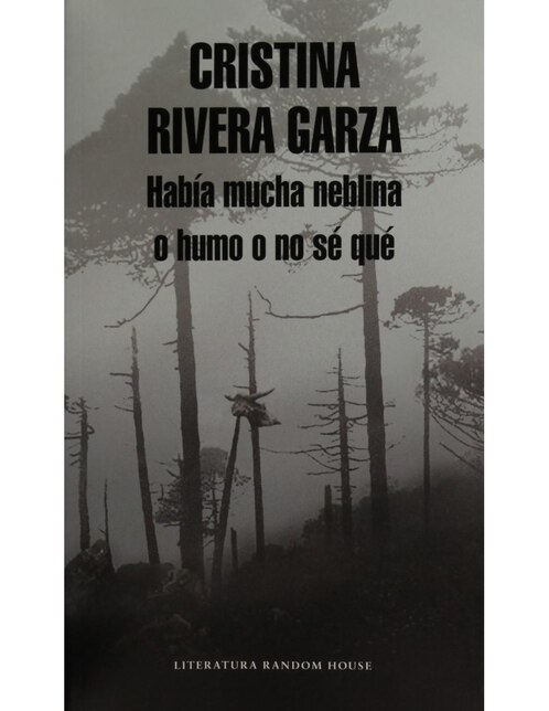 Imagen de producto Había mucha neblina o humo o no sé qué