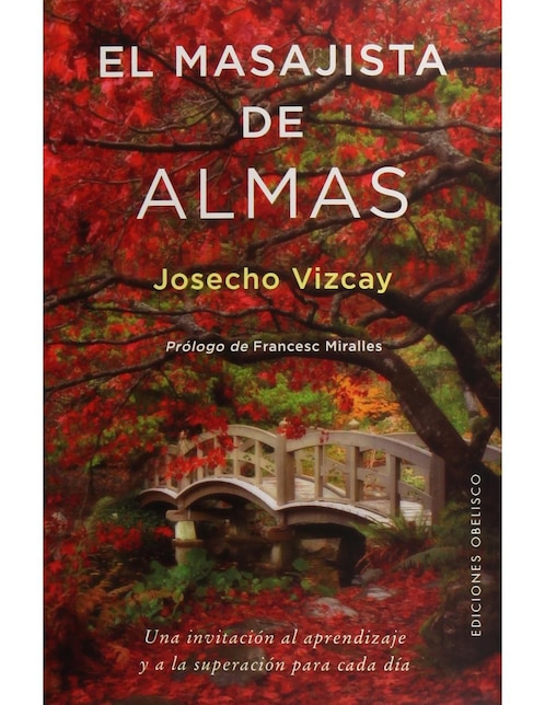 Imagen de producto El Masajista De Almas