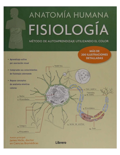 Anatomía Humana: Fisiología
