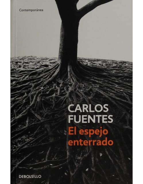 El Espejo Enterrado 1