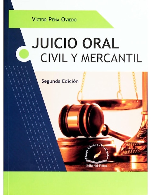 Revista Juicio Oral Civil Y Mercantil