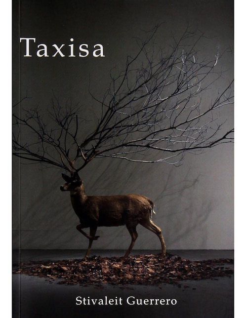 Imagen de producto Libro Taxisa