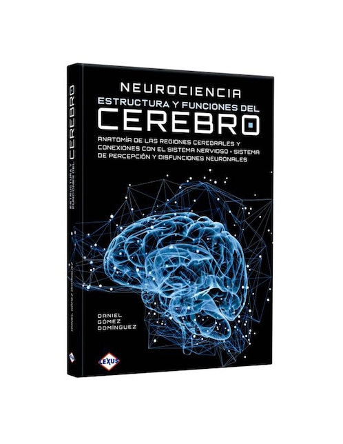 Estructura Y Funciones Del Cerebro