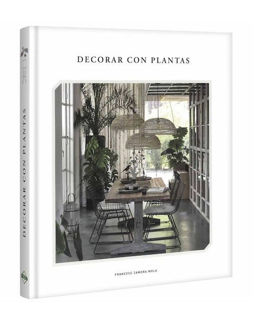 Decorar Con Plantas