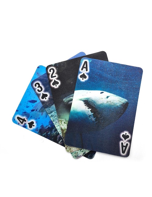 KIKKERLAND Cartas de tiburon Kikkerland