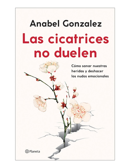 Imagen de producto Libro Las cicatrices no duelen de Anabel Gonzalez
