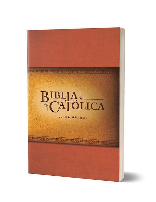 Libro La Biblia Católica letra grande de Biblia de América 1