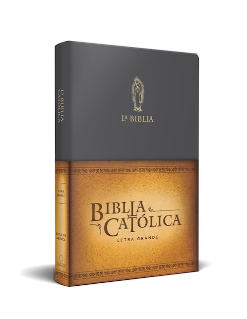 Libro La Biblia Católica 1