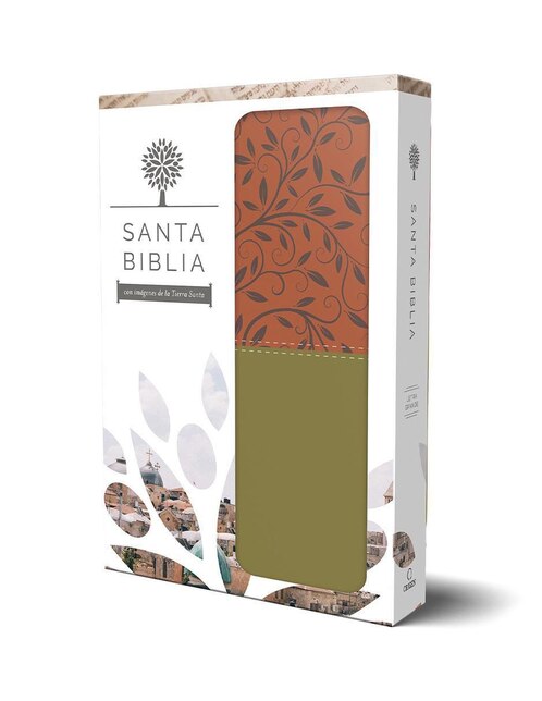 Biblia Reina Valera 1960 Letra Grande. Símil Piel, Dos Tonos, Fotos De Tierra Santa de Reina Valera Revisada 1960