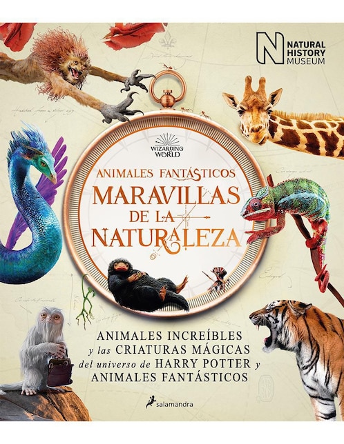 Libro Animales Fantásticos de The National History Museum