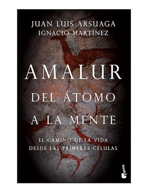 Libro Amalur de Ignacio Martínez 1