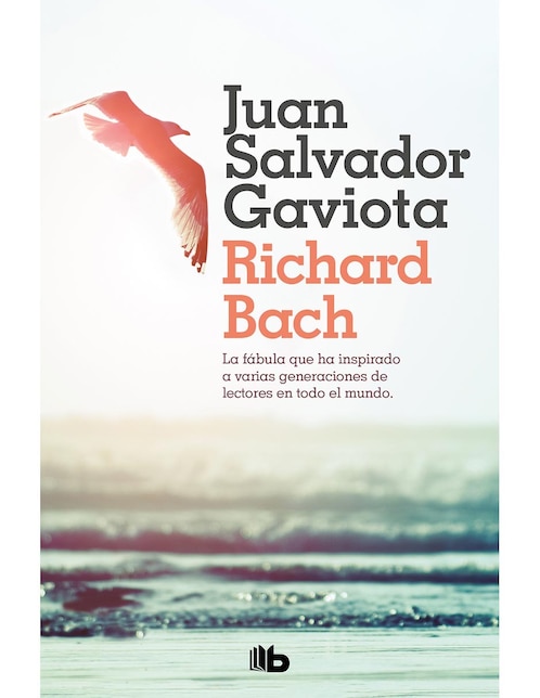 Libro Juan Salvador Gaviota de Richard Bach