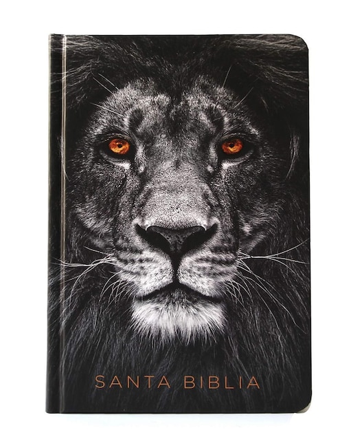 Santa biblia reina valera 1960 letra grande. León de Judá de Reina Valera