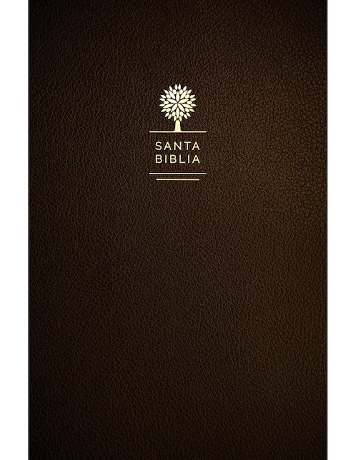 Biblia Catolica. Edicion letra grande de Biblia de america