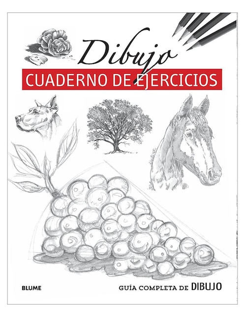 Libro Guía completa de dibujo: Cuaderno de ejercicios