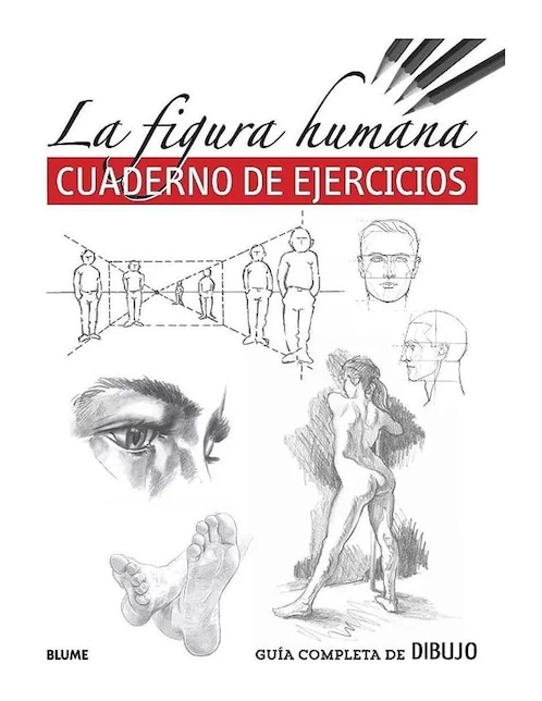 Libro La Figura Humana: Cuaderno de Ejercicios