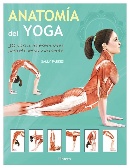 Libro Anatomía del Yoga de Sally Parkes
