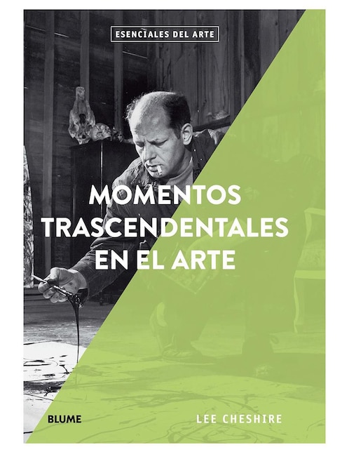 Libro Momentos Trascendentales en el Arte de Lee Cheshire