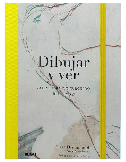 Libro Dibujar y ver de V