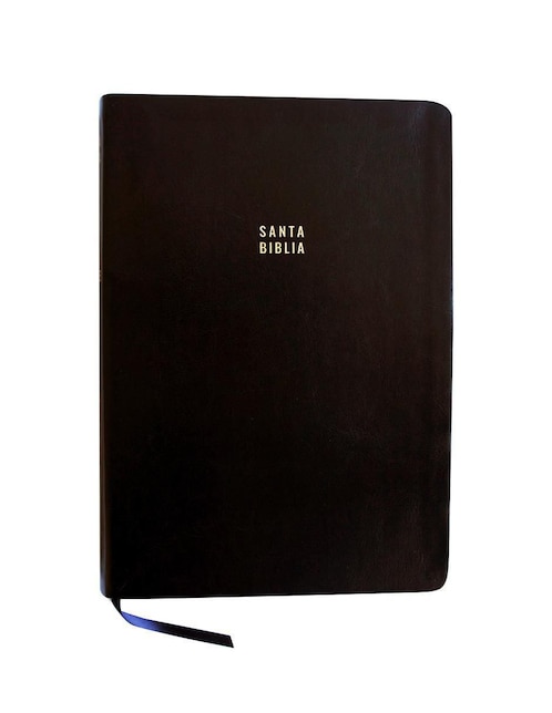 Santa Biblia de Reina Valera