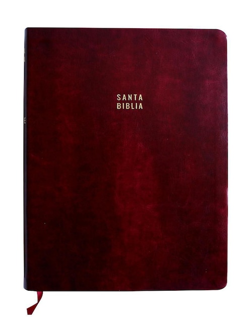 Biblia de Reina Valera