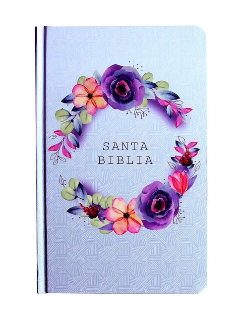 Libro Biblia de Reina Valera