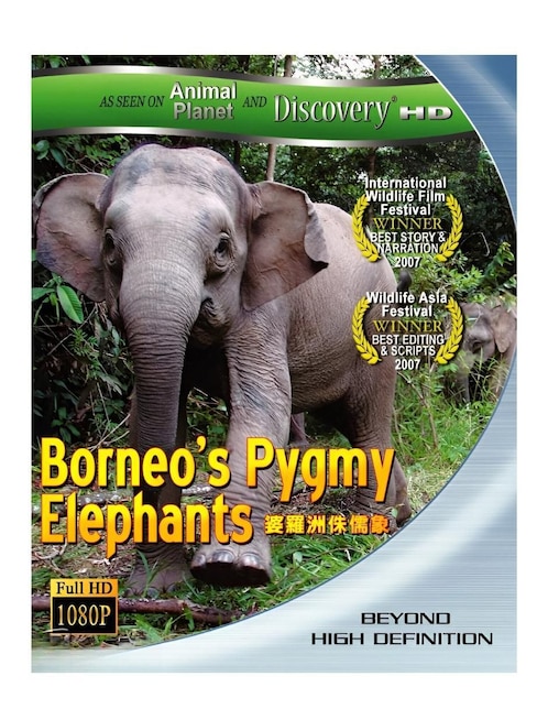 Imagen de producto Borneo's Pygmy Elephants estándar
