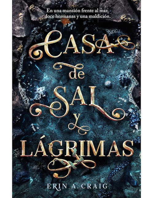 Casa de sal y lagrimas de Erin A. Craig