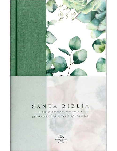 Biblia RVR 1960 Flores Verde de Reina Valera