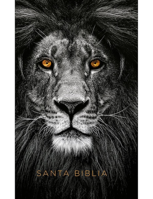 Libro Biblia León Simil Piel de Varios