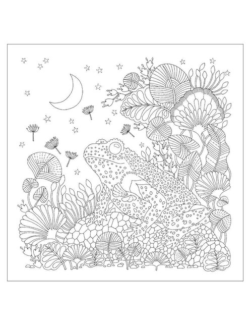Libro Un planeta precioso. Una aventura para colorear de Millie Marotta 4