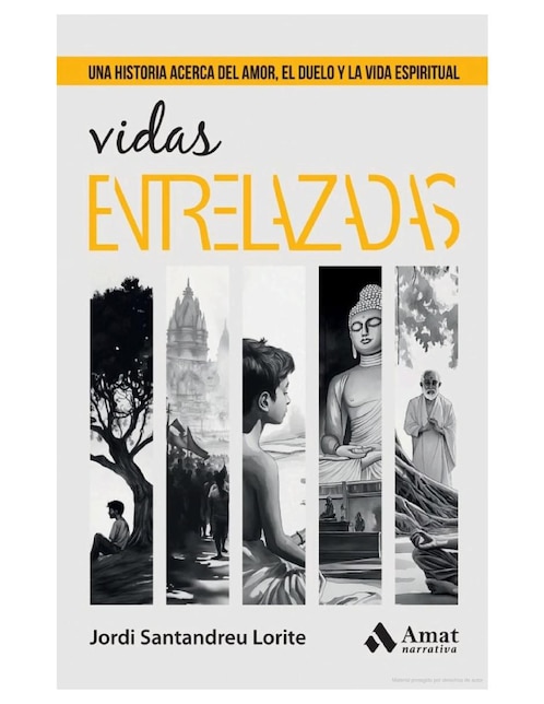 Libro Vidas Entrelazadas de Jordi Santandreu Lorite