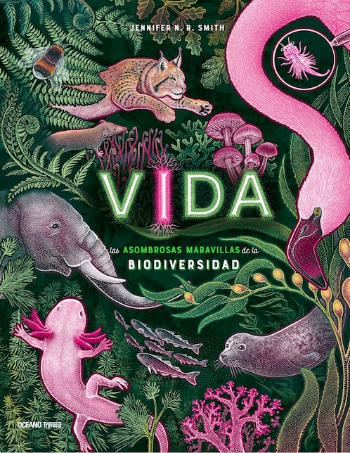 Libro Vida: Las Asombrosas Maravillas de la Biodiversidad de Jennifer Smith