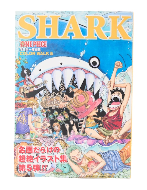 Libro de ilustraciones One Piece Color Walk 5