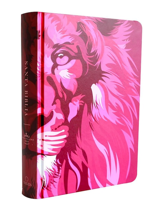 Libro Santa Biblia Rvr 1960 León de Juda Rosa de Reina Valera Revisada