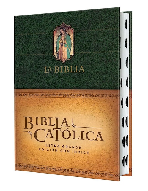 Libro La biblia católica de Origen