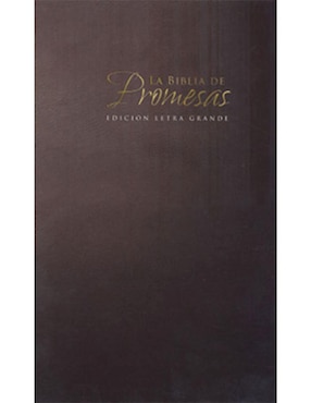 La Santa Biblia Edición De Promesas Letra Grande Tono Gris