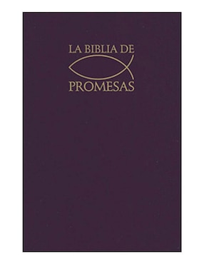 Imagen de producto Libro La Santa Biblia Edición de Promesas Tono Gris