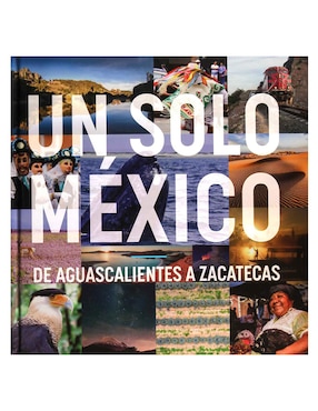Un Solo México