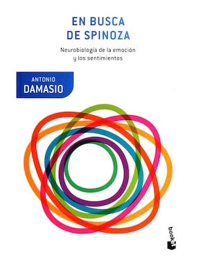 En Busca De Spinoza