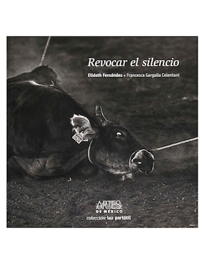 Revocar El Silencio