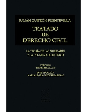 Tratado De Derecho Civil Tomo IV