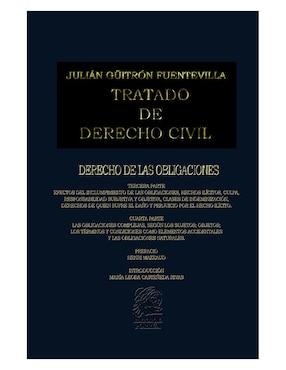 Tratado De Derecho Civil Tomo XIV