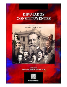 Diputados Constituyentes