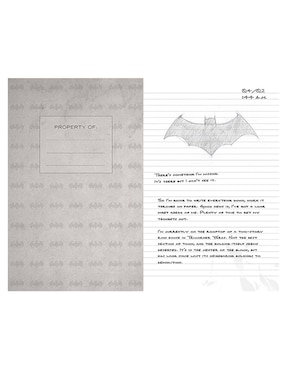 Libreta Insights Editions DC Comics hoja rayada
