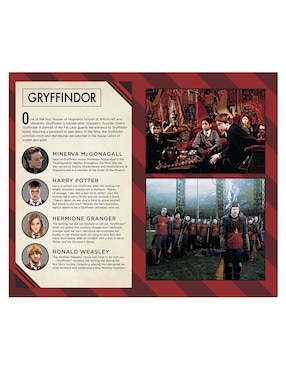 Libreta Insights Editions Harry Potter hoja rayada