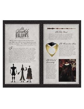 Libreta Insights Editions Harry Potter hoja rayada