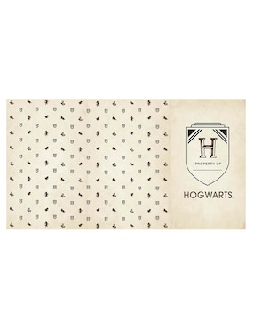 Libreta Insights Editions Harry Potter hoja rayada