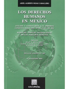 Los Derechos Humanos En México